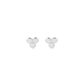 Silver Earrings Dots