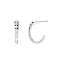 Silver Earrings Snake