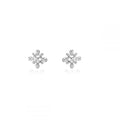 Silver earrings
