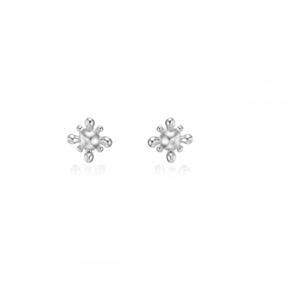 Silver earrings