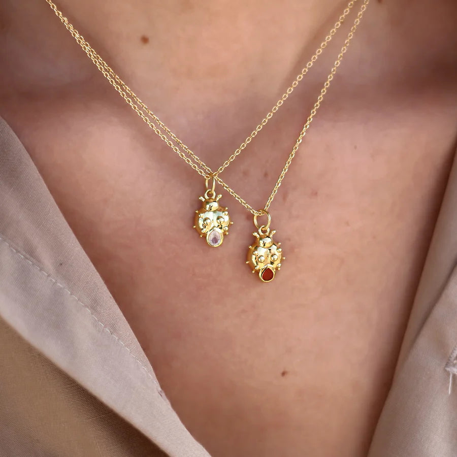 Pozlacený náhrdelník s beruškou
