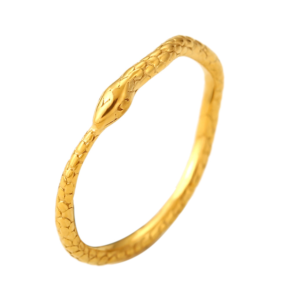 Dragon Steel Ring - 20mm