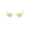 Earrings with - White Zirconia - Gold plated